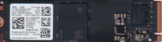 2280_PM981.jpg