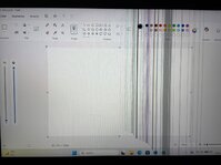 IMG_4337.jpeg
