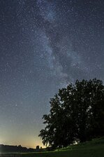 _DSC3578_D_CSA_bearb2_ksL.jpg
