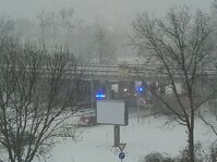 IMG_20260109_085150.jpg