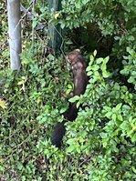 IMG_2043.jpeg