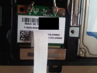 IMG-20110313-00105.jpg