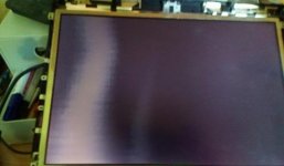 12380271_962617233784404_836898233_n.jpg
