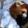 RedPanda