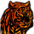 tiga